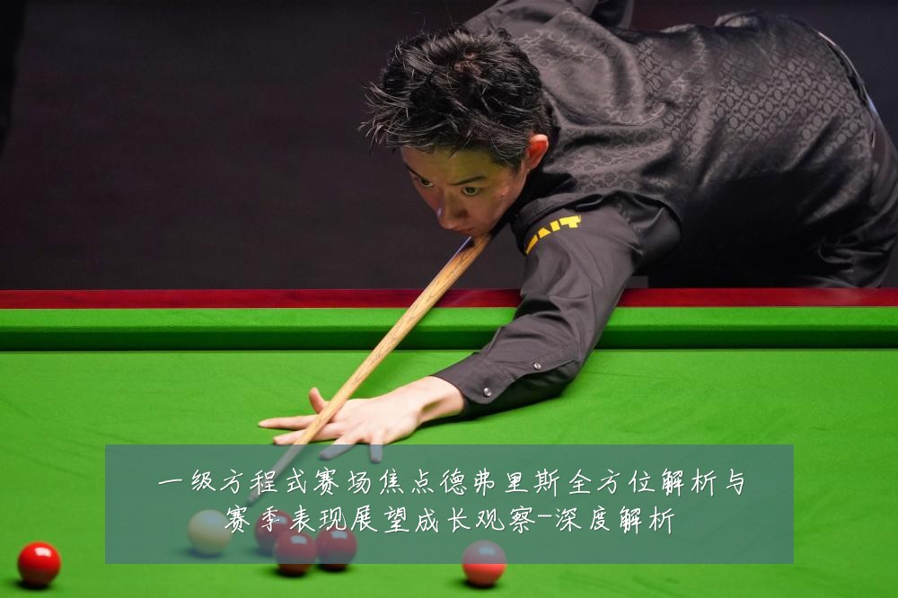 一级方程式赛场焦点德弗里斯全方位解析与赛季表现展望成长观察-深度解析